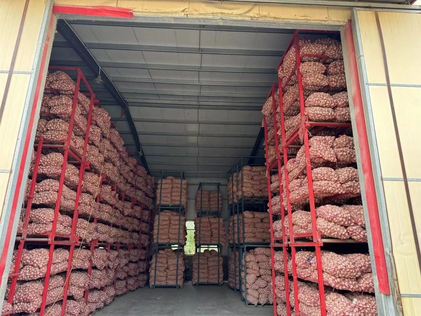 سیر ذخیره شده