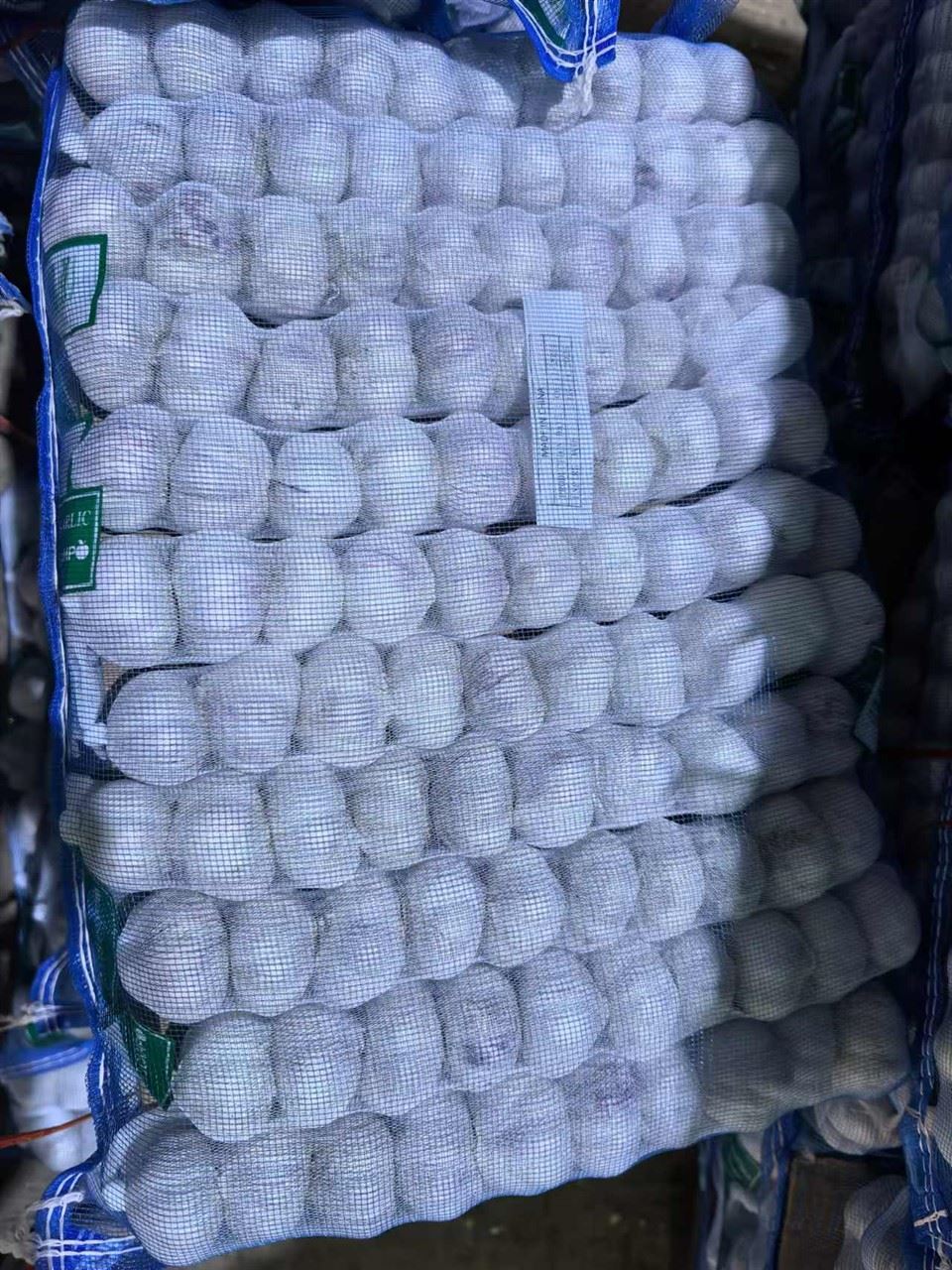 سیر با پوست بنفش بسته بندی شده