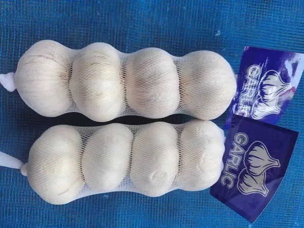 سیر 4.5 سانتی متر