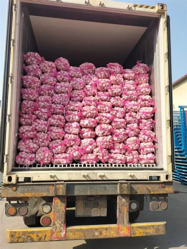 سیر مخلوط خوب