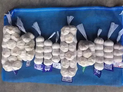 5. 0 سانتی متر سیر