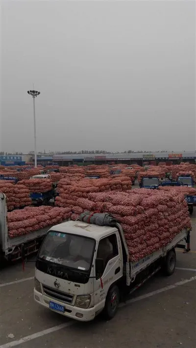 سیر از بازار