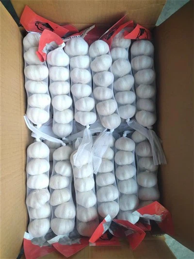 بسته کوچک سیر